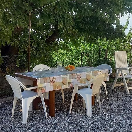 Appartamento Bellavista Castellina Marittima Eksteriør billede