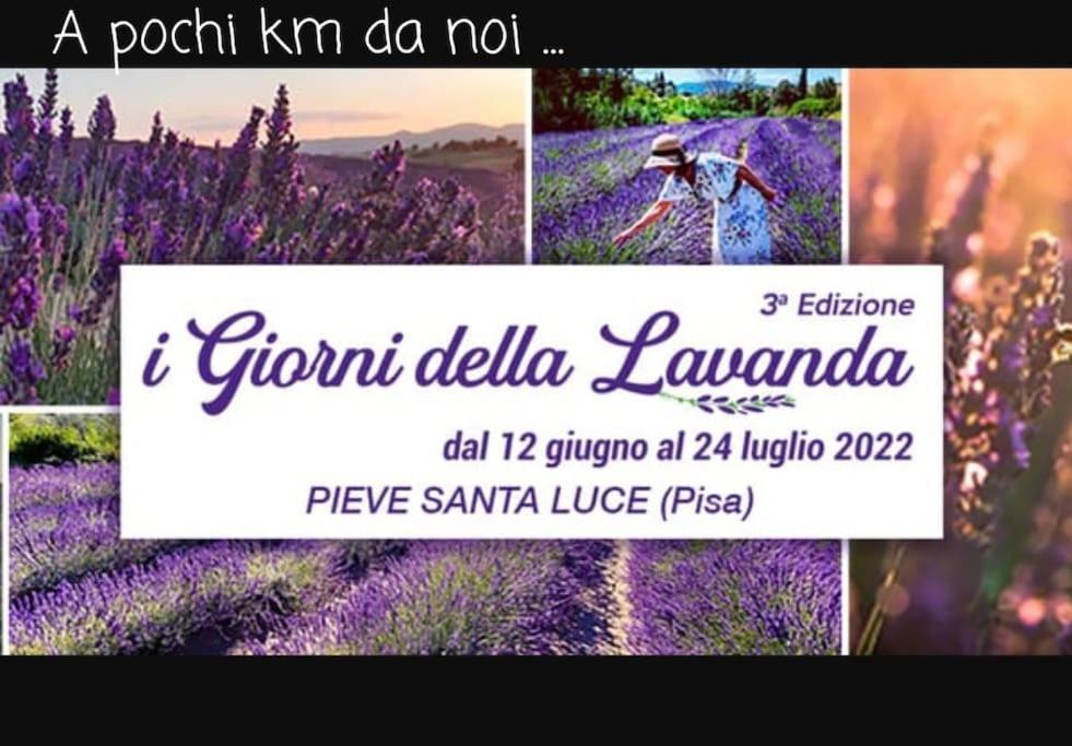 Appartamento Bellavista Castellina Marittima Eksteriør billede