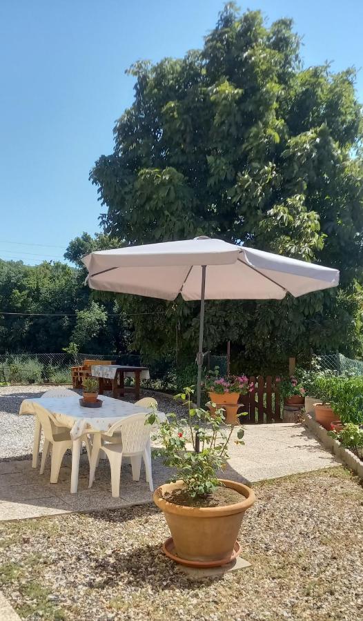 Appartamento Bellavista Castellina Marittima Eksteriør billede