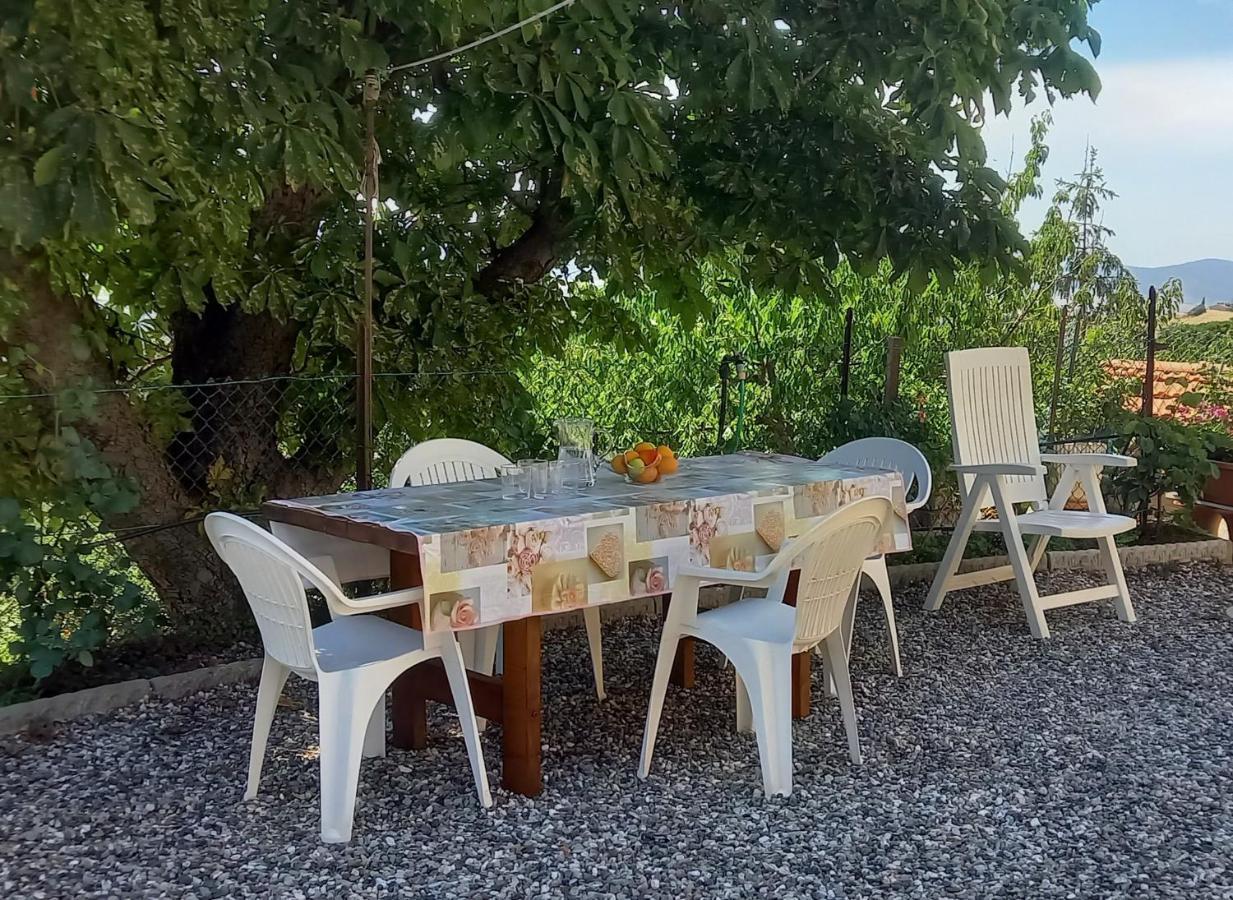 Appartamento Bellavista Castellina Marittima Eksteriør billede